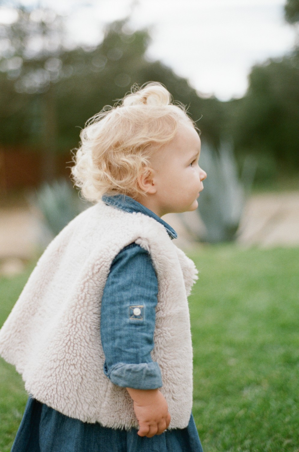 Spain Backyard Story