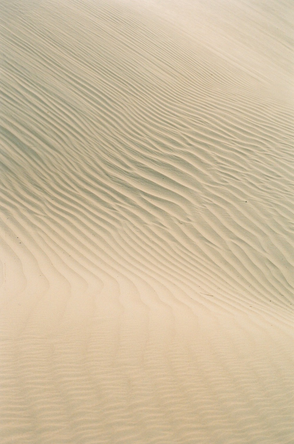 Mirabella. Dubai desert photoshoot