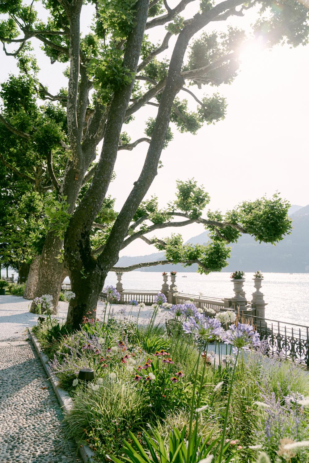 Pregnancy and Family photoshoot on Lake Como