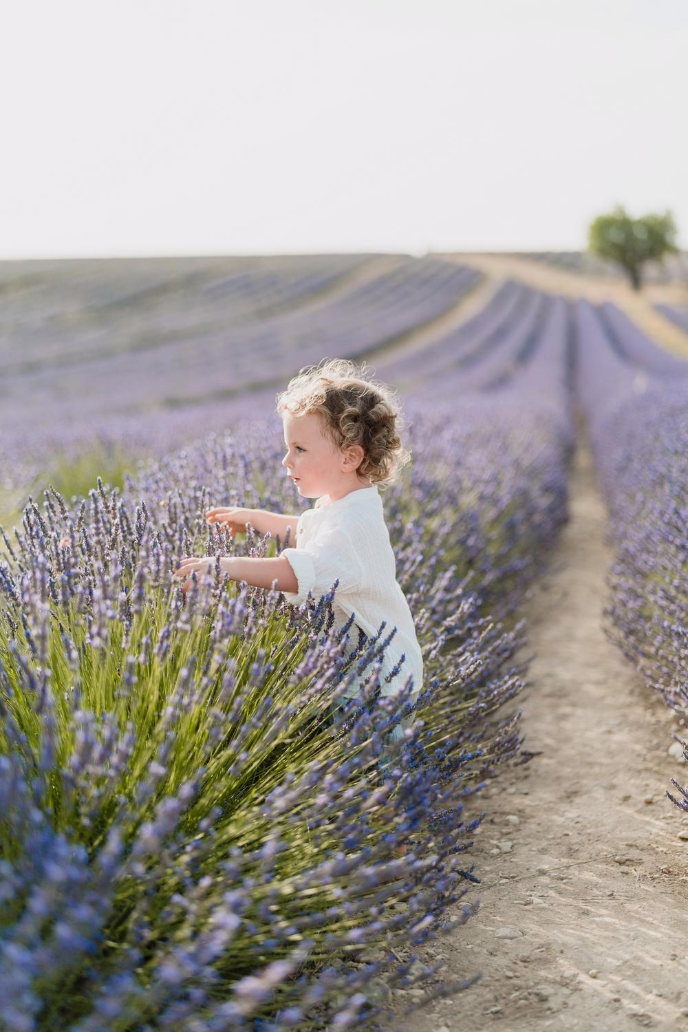 Provence Family Trip. Lavande fields, Gorge du Verdon, Moustier Sainte Marie