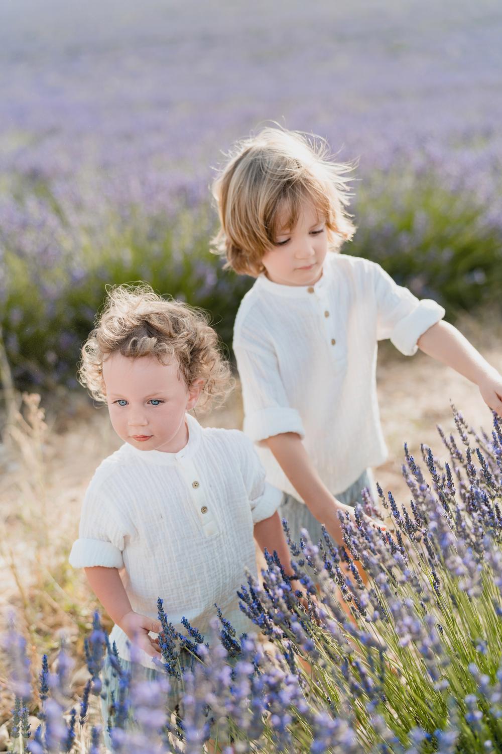 Provence Family Trip. Lavande fields, Gorge du Verdon, Moustier Sainte Marie