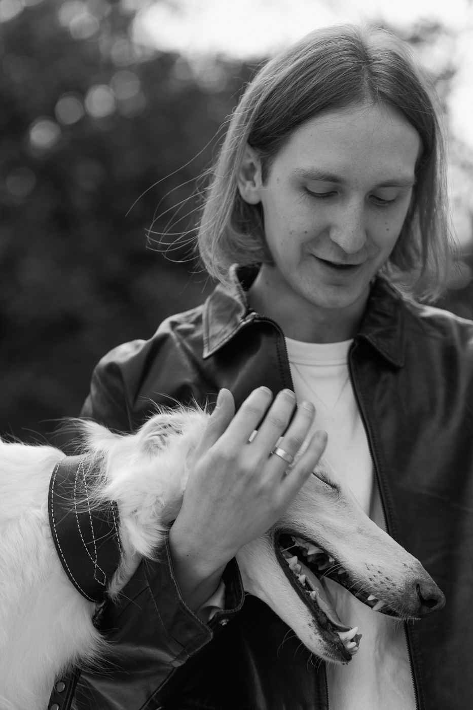 Dogs about