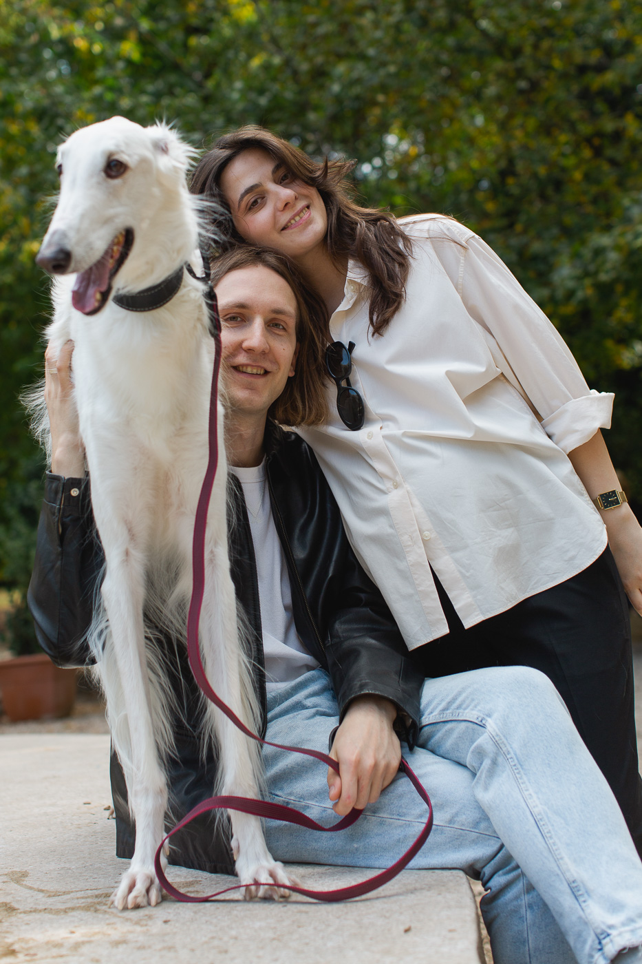 Dogs about