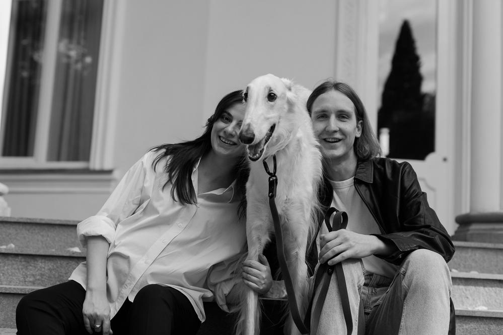 Dogs about