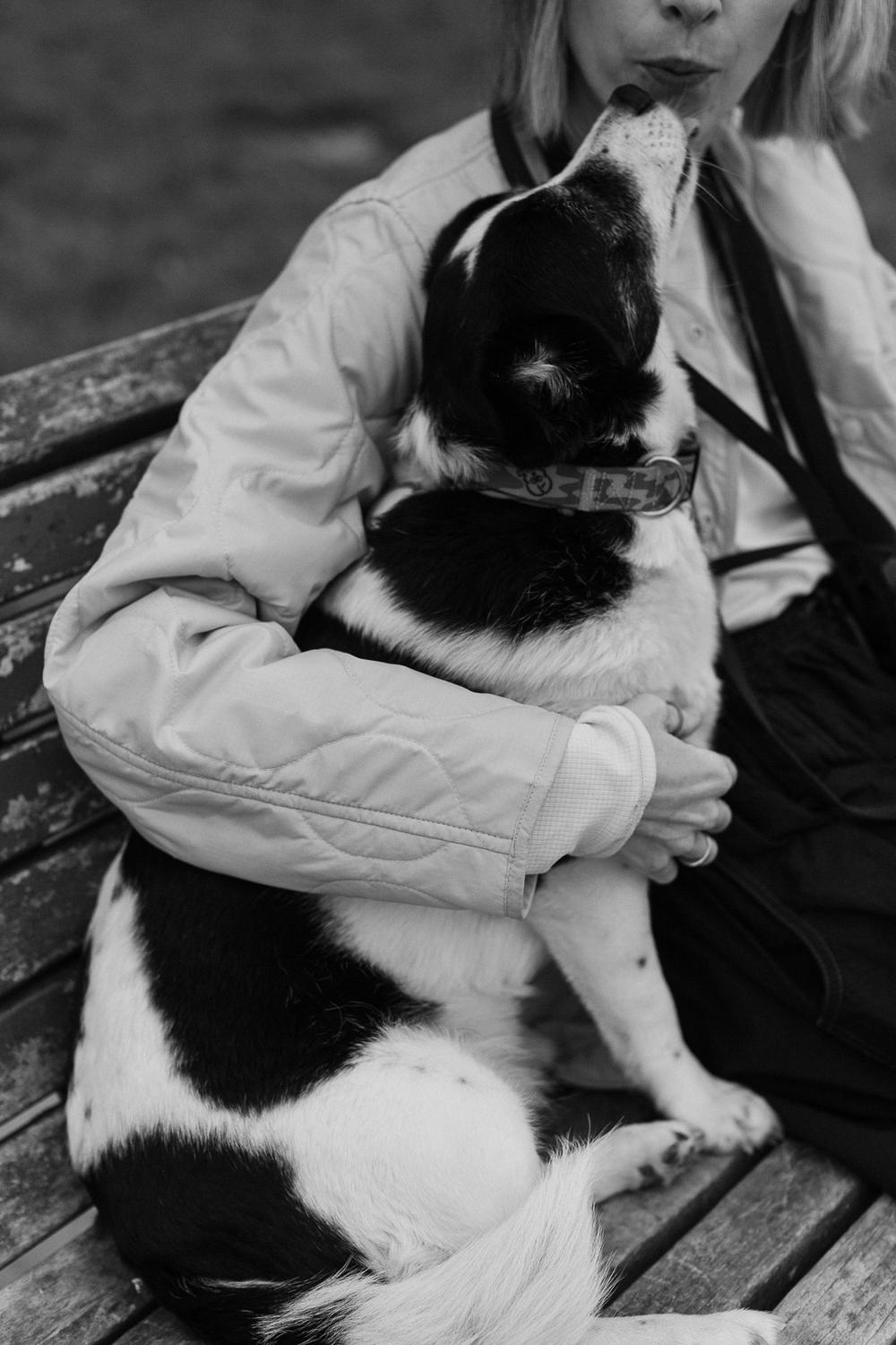 Dogs about