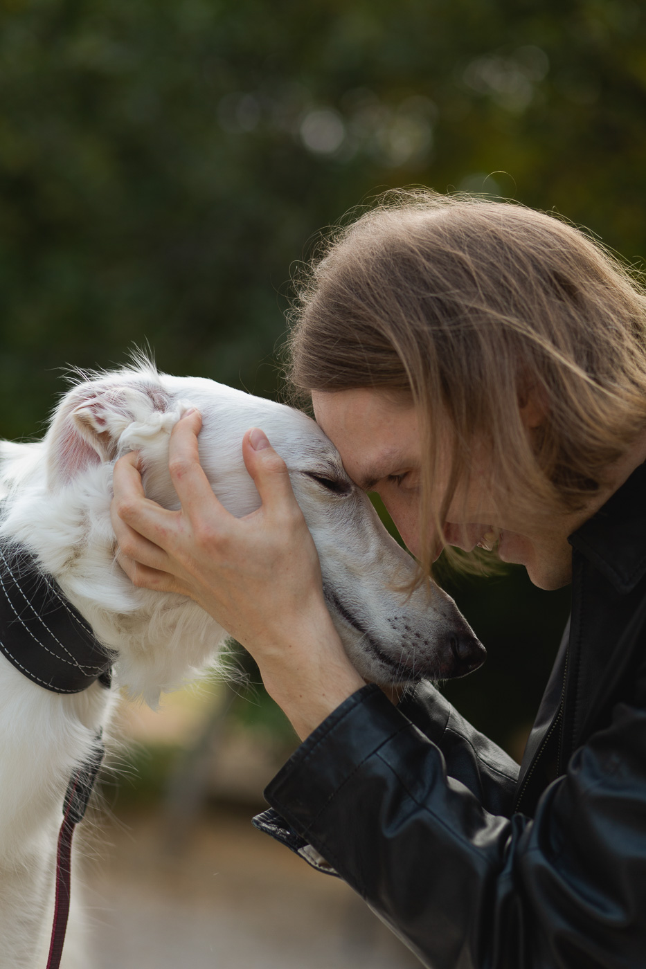 Dogs about