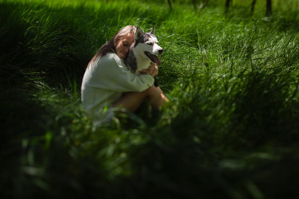 Dogs about