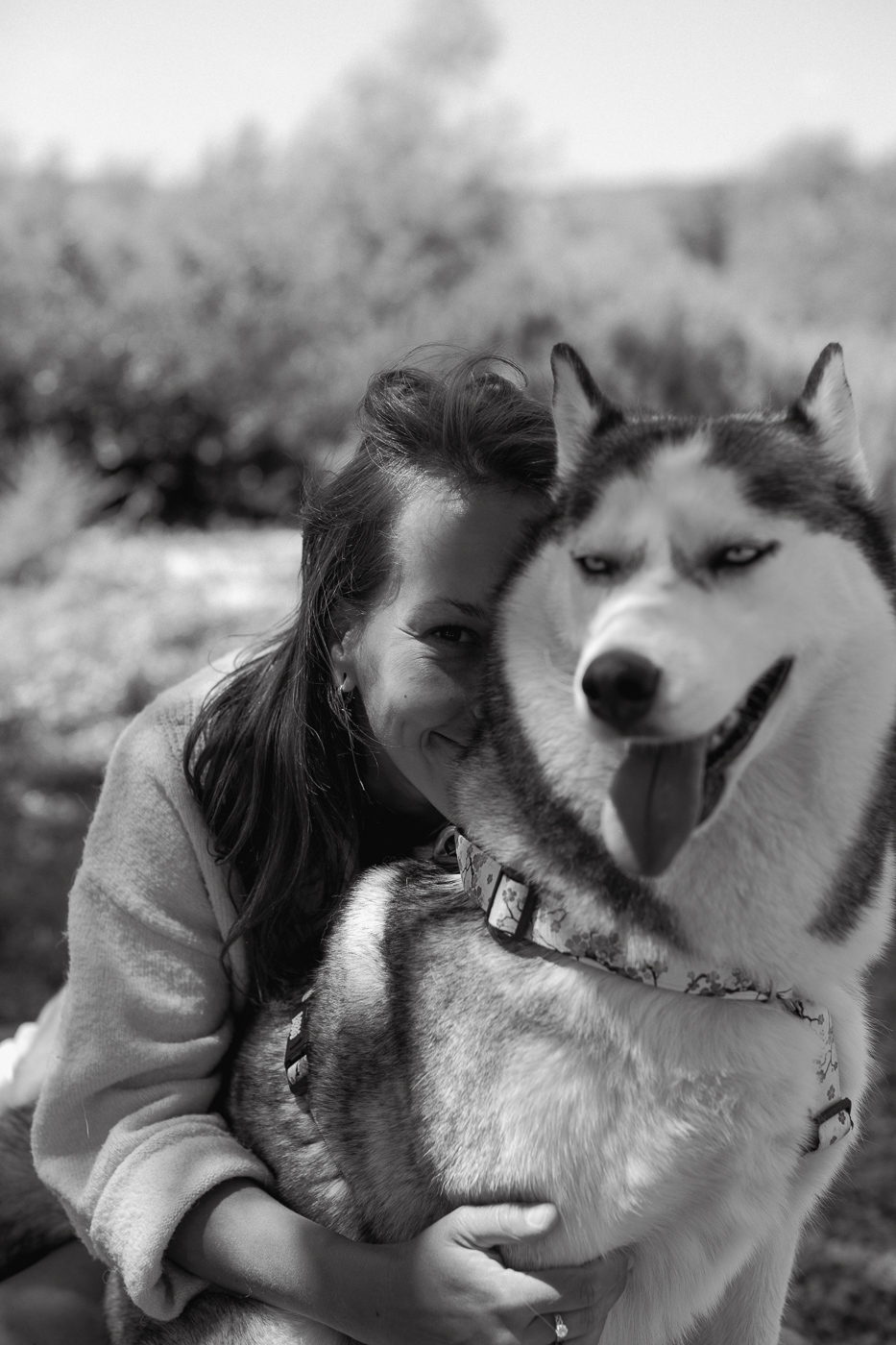 Dogs about