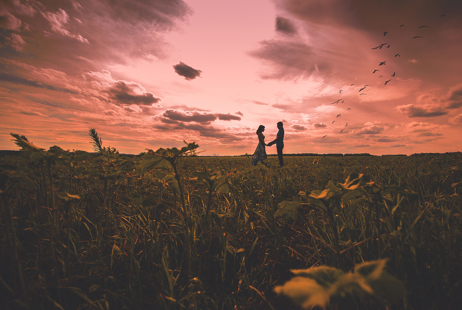 Love Stories