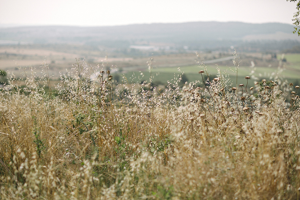 Noa and Tal - wedding