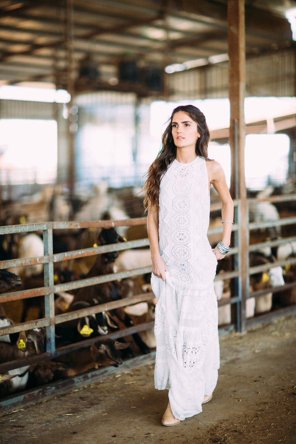 Ortal boho