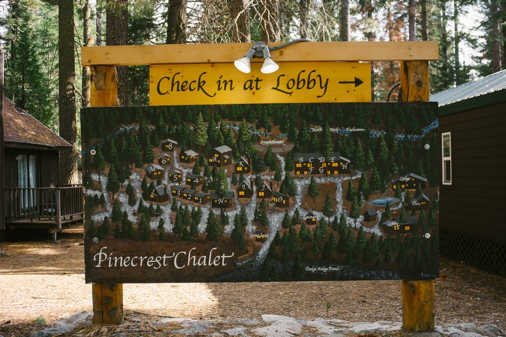 Secret of the pine forest