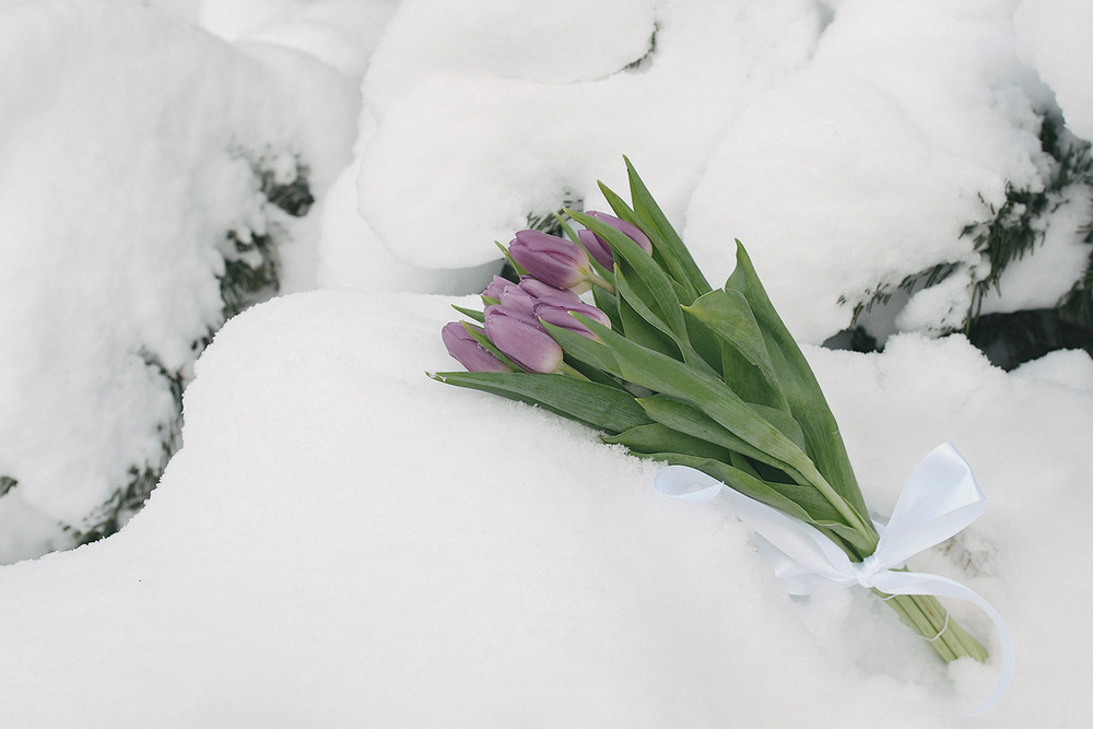 MOUNTAIN SKI WEDDING 