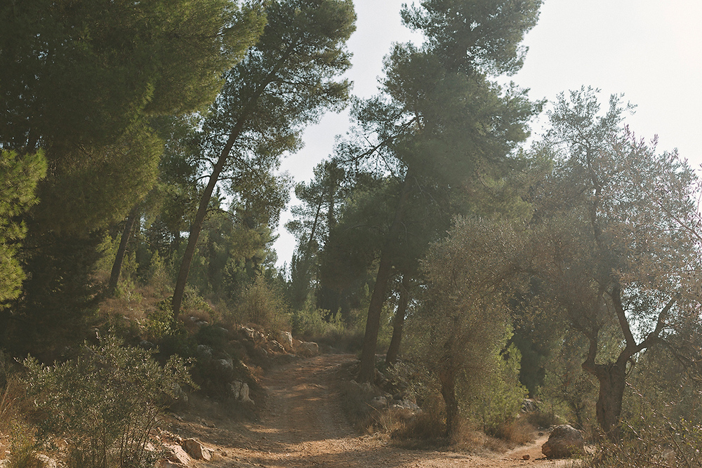 Rina and Yonatan