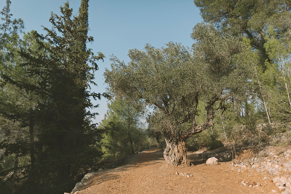 Rina and Yonatan