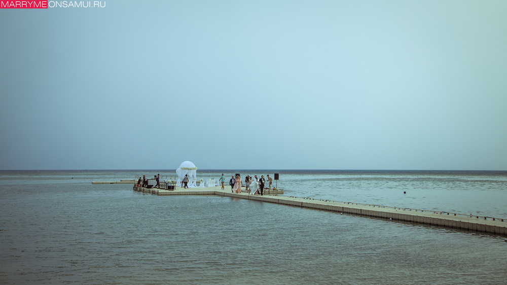 Le Meridian D&V wedding