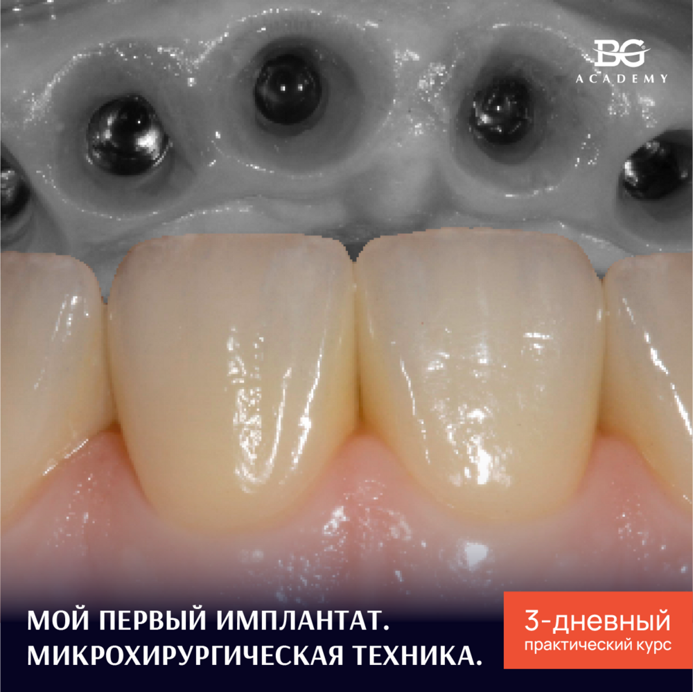 Организация курсов и семинаров для стоматологов
