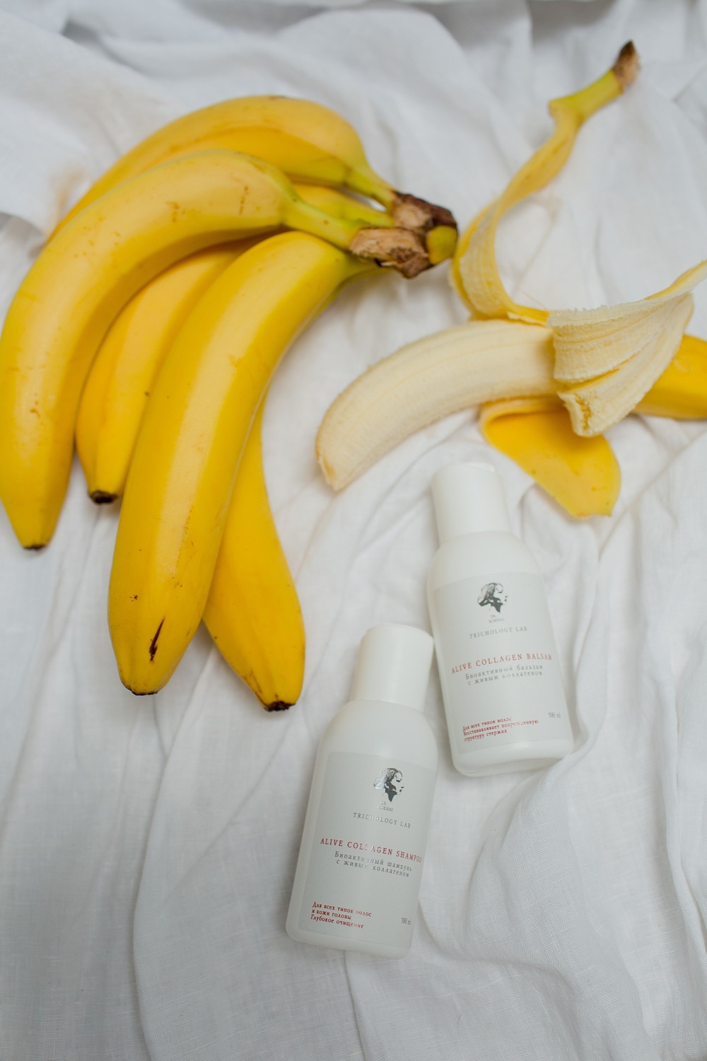 CollaGen