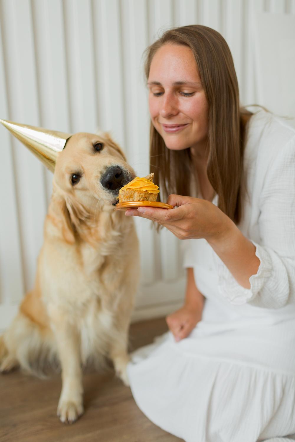 MORDA DOG