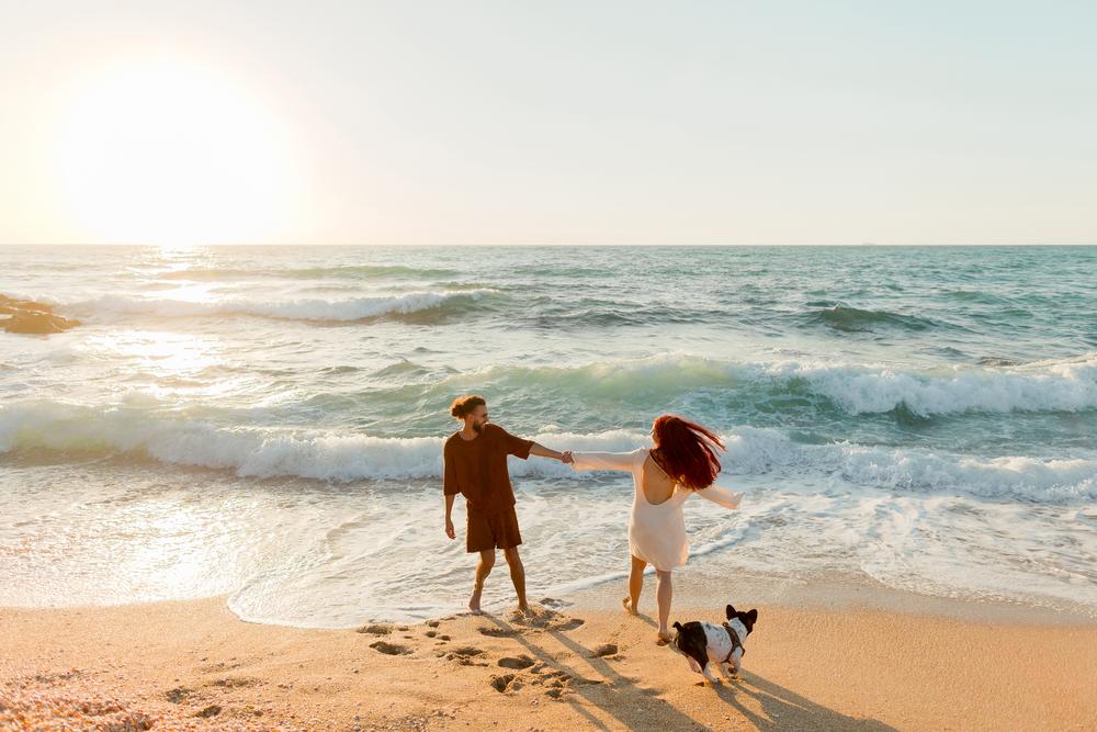 Mermaid, Prince, Dog
