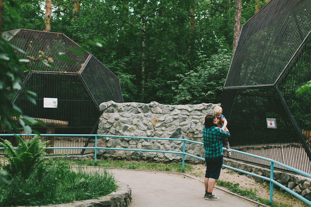 Mitten im Umzug und Zoo-Ausflug