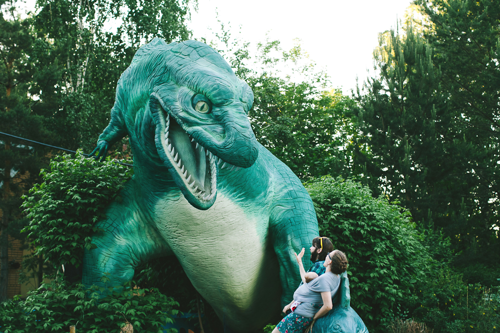 Mitten im Umzug und Zoo-Ausflug