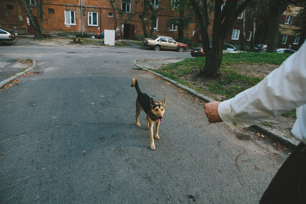 Back to USSR