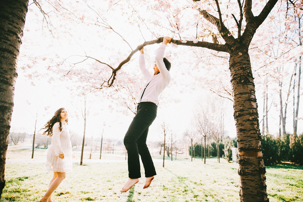 Ivy and Sakura