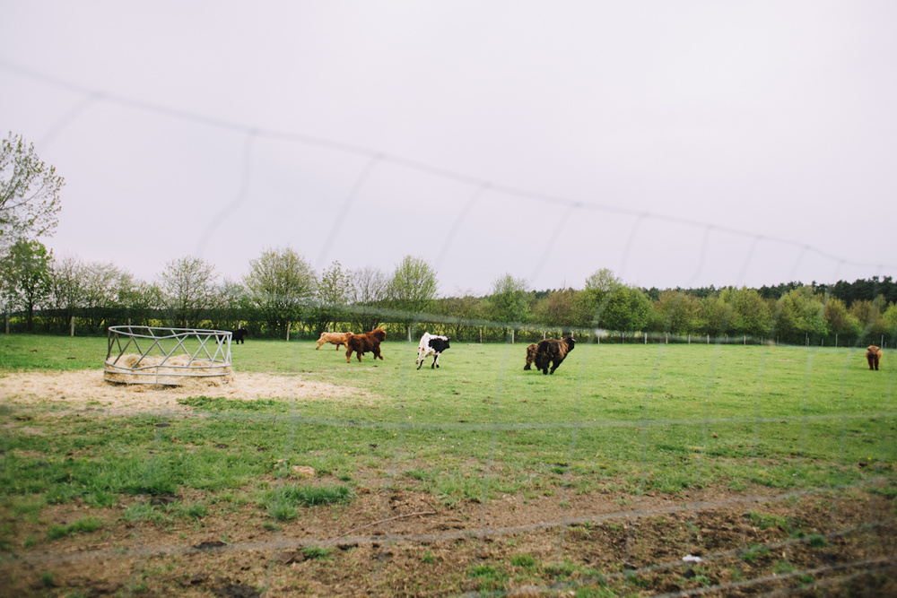 Happy Farm