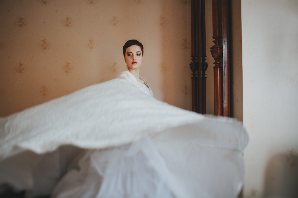 The Elegant Morning