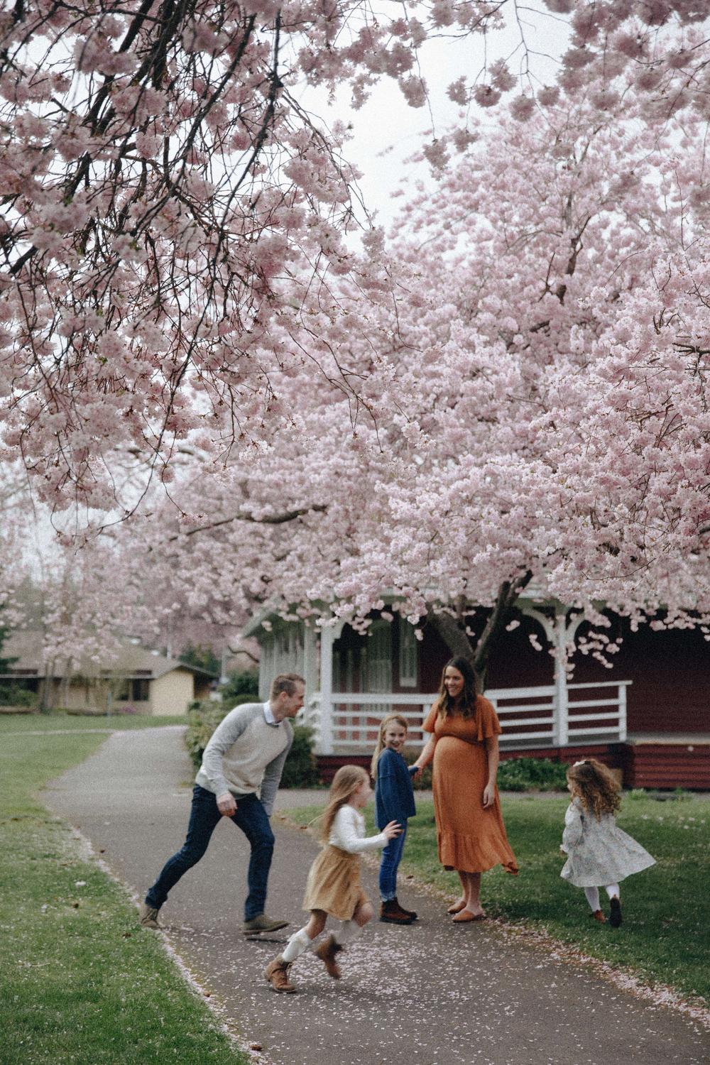 Field of Dreams editorial photography. Image of family - 156427272