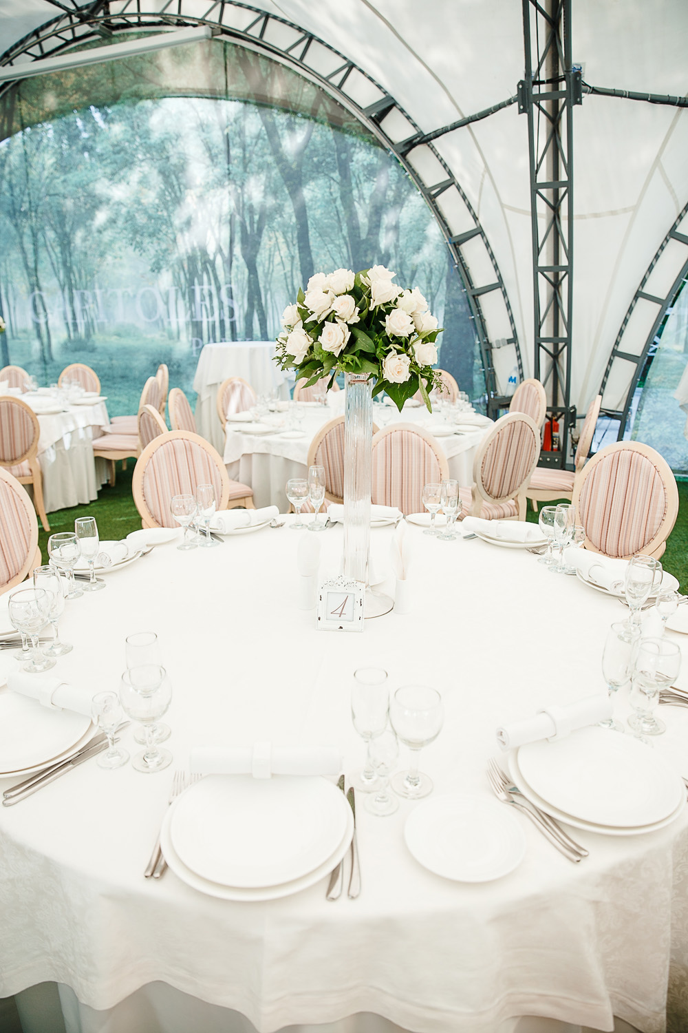 ALIONA + ANATOL -  WEDDING