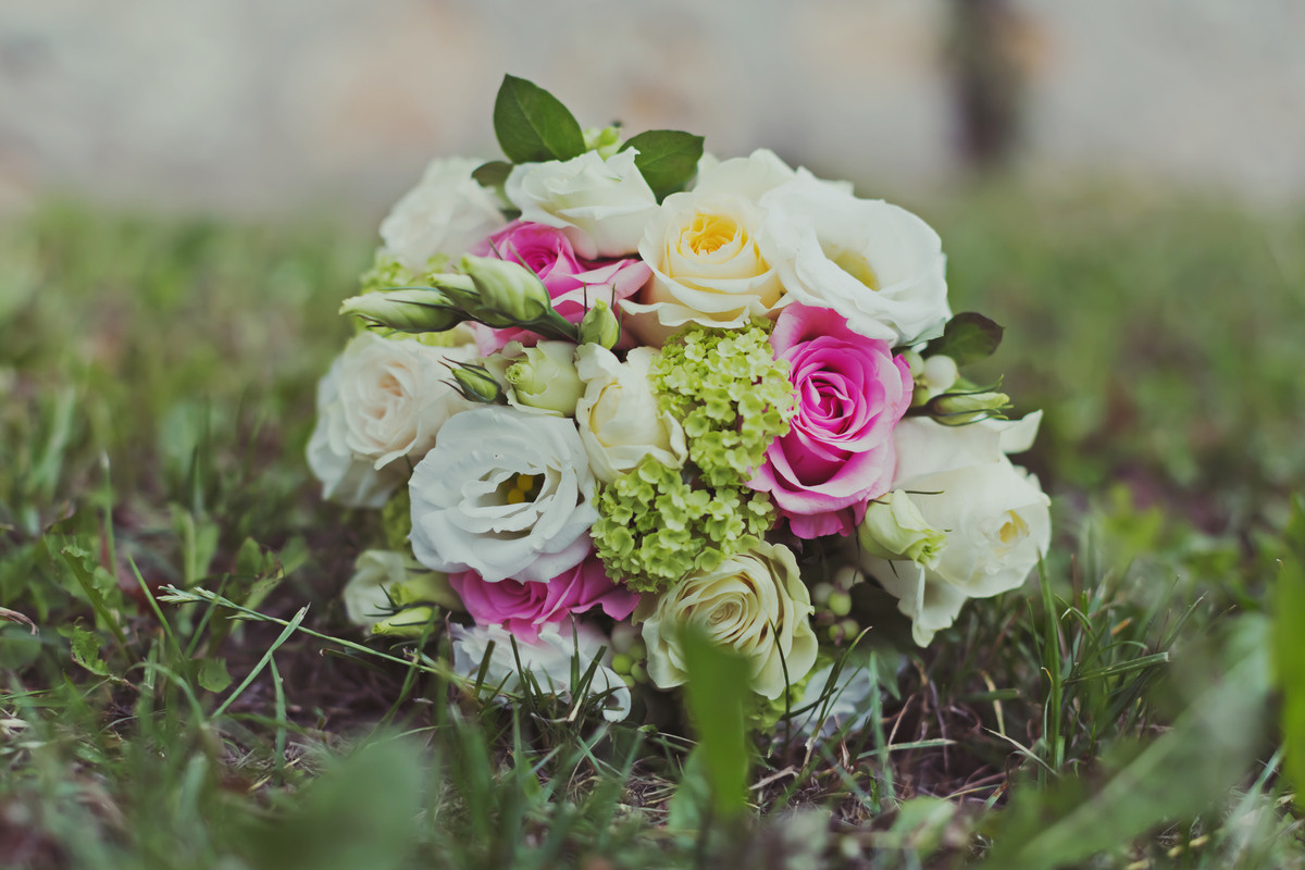 Wedding. C & C