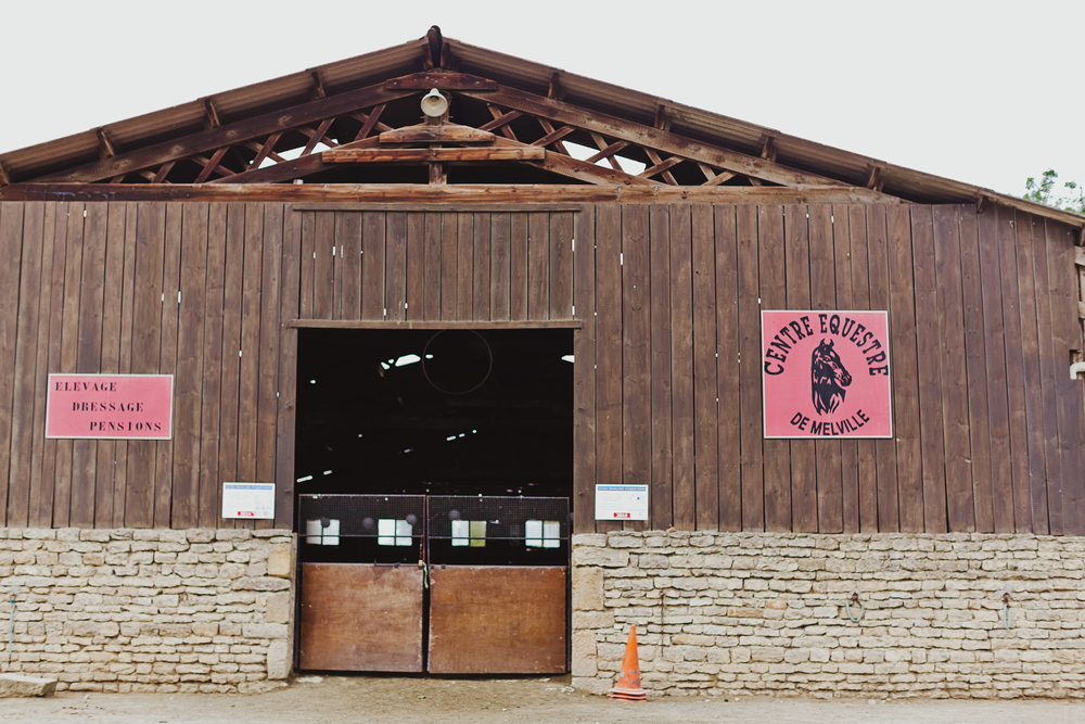 Autumn Equestrian Wedding