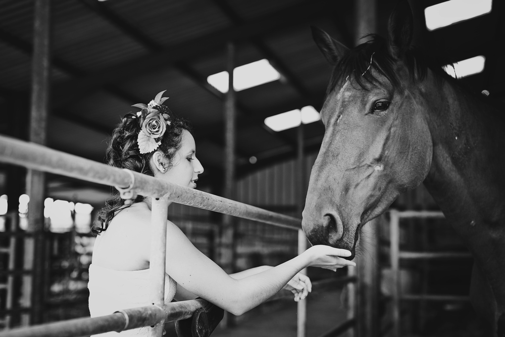 Autumn Equestrian Wedding
