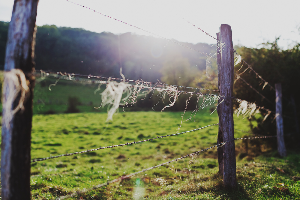 Autumn Equestrian Wedding