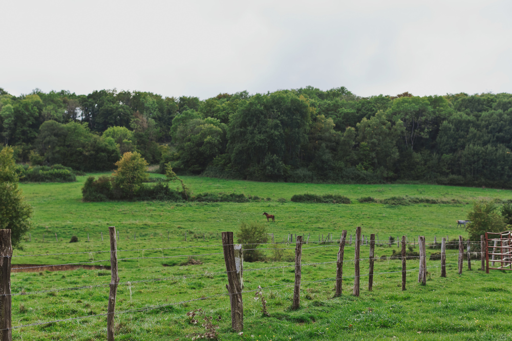 Autumn Equestrian Wedding