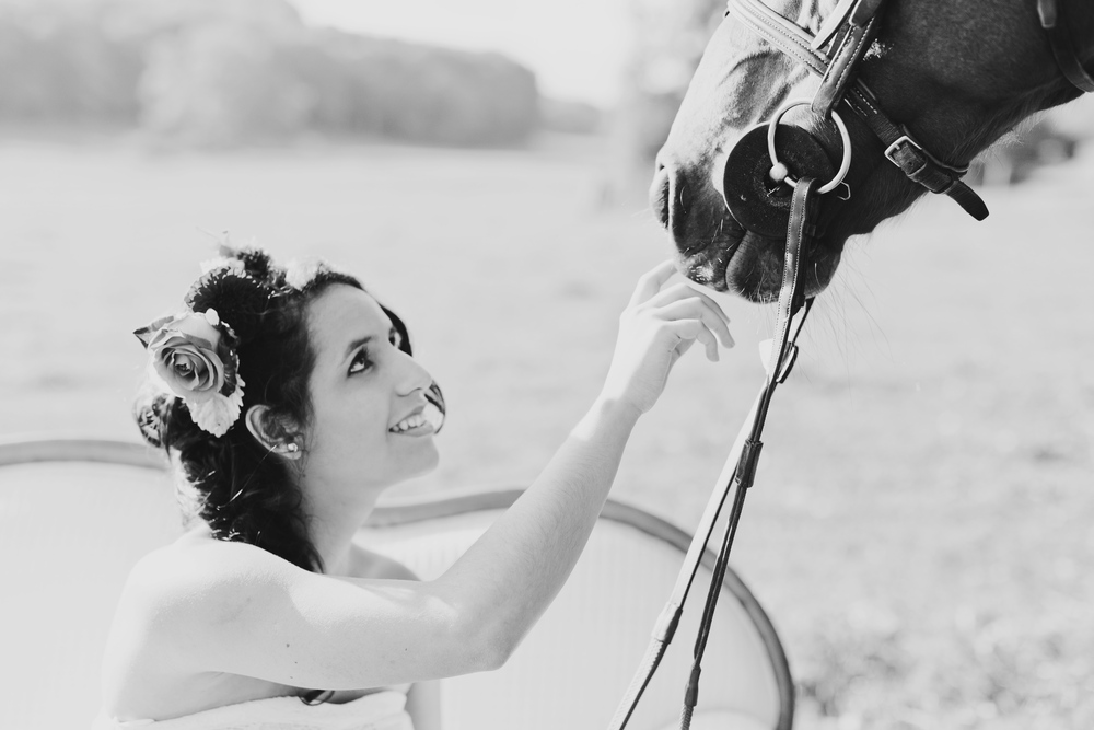Autumn Equestrian Wedding