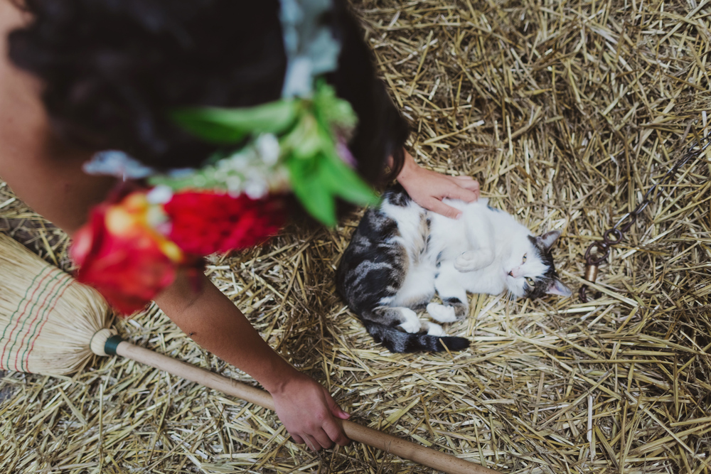 Autumn Equestrian Wedding