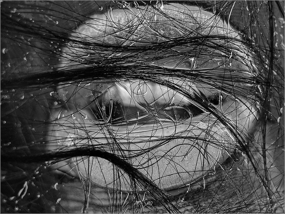 L'EFFLEUREMENT #2