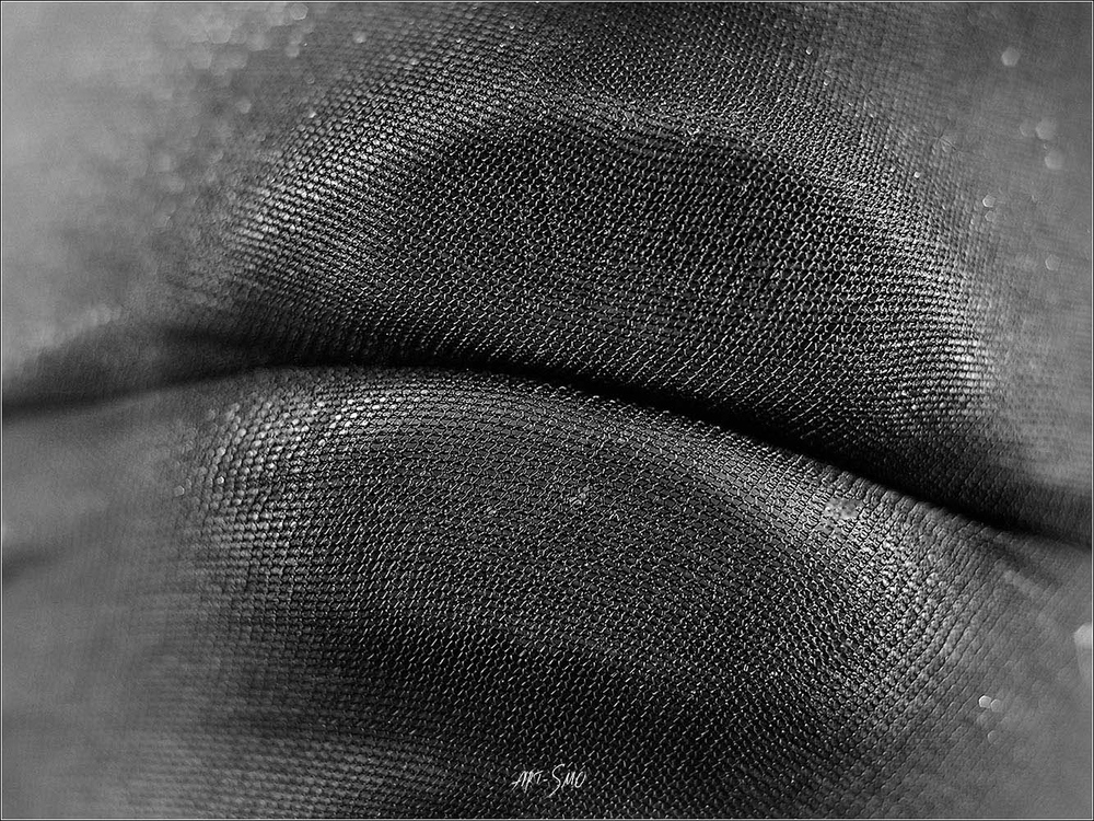 L'EFFLEUREMENT #2