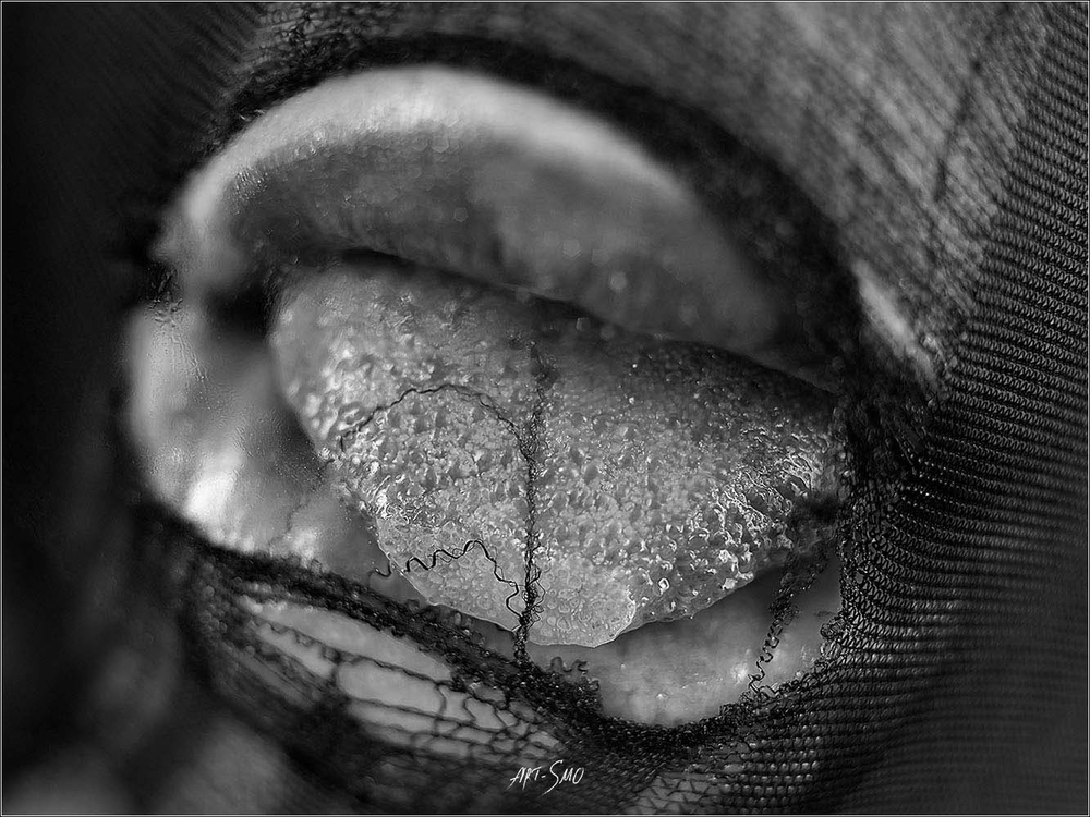L'EFFLEUREMENT #2