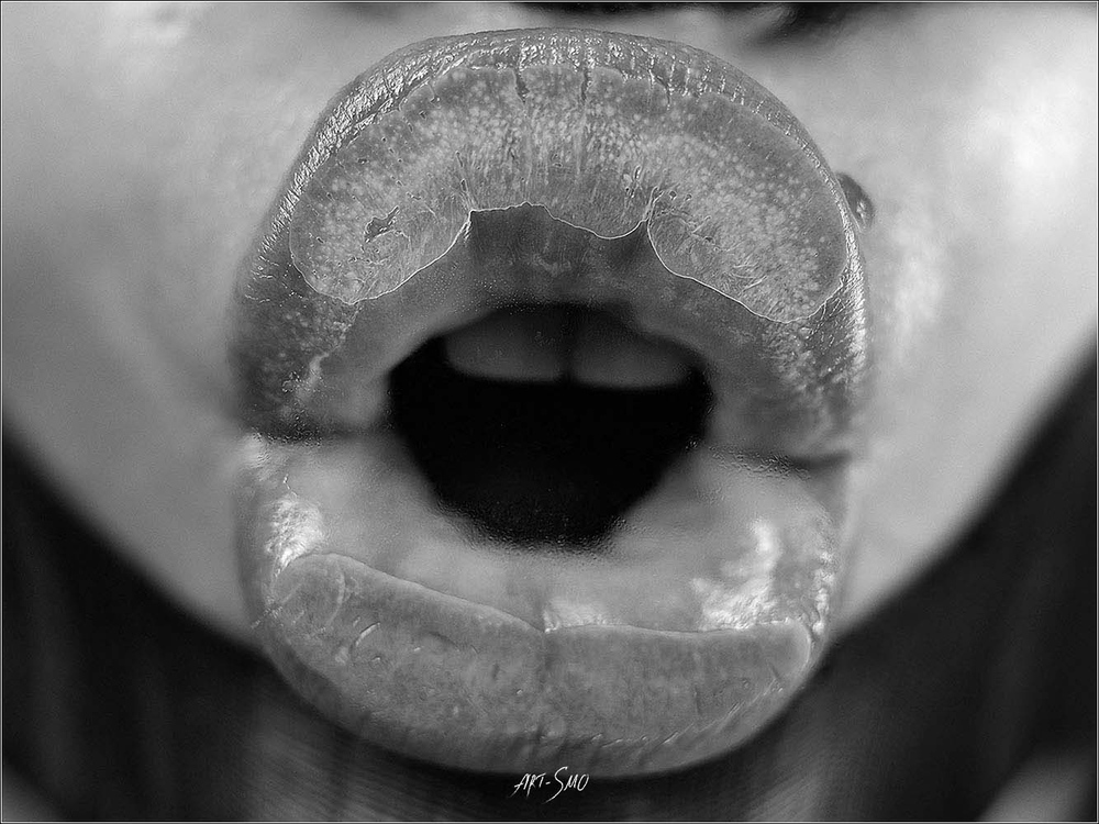 L'EFFLEUREMENT #2