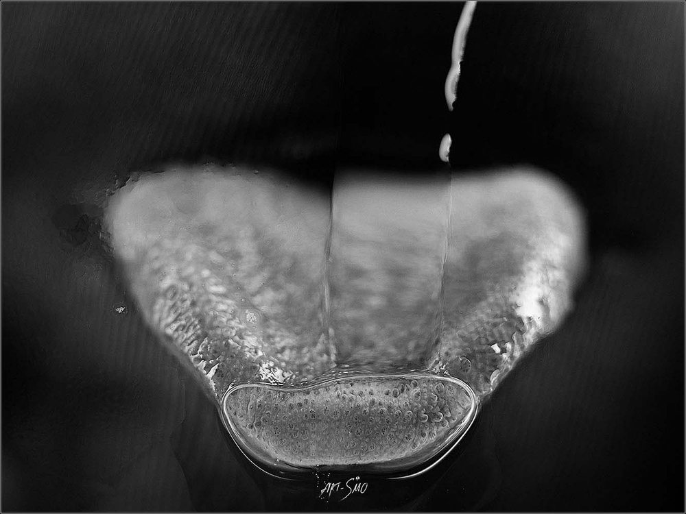 L'EFFLEUREMENT #2