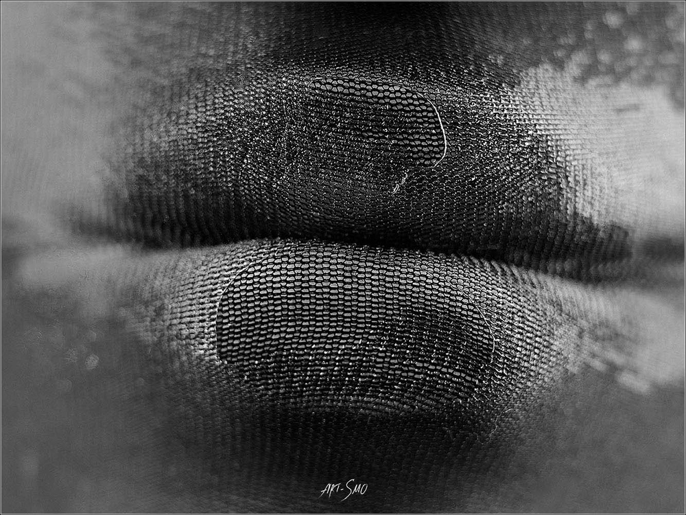 L'EFFLEUREMENT #2