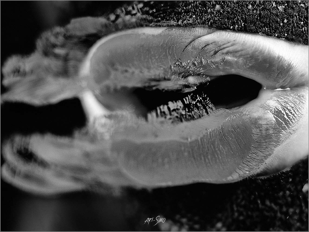 L'EFFLEUREMENT #2