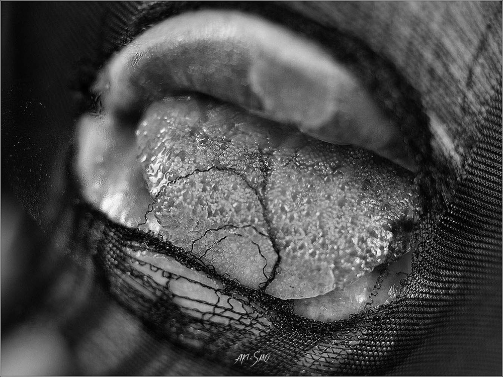 L'EFFLEUREMENT #2