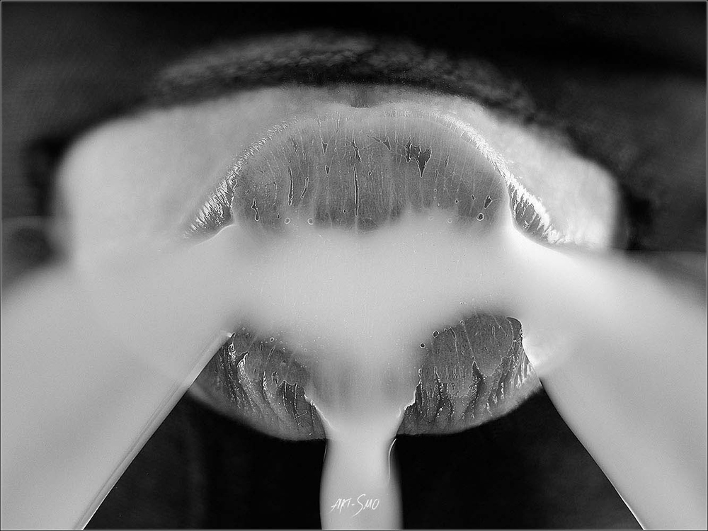 L'EFFLEUREMENT #2