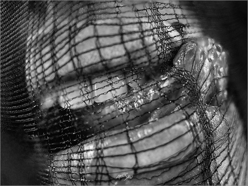 L'EFFLEUREMENT #2