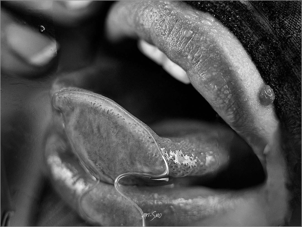 L'EFFLEUREMENT #2